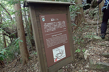 p7230535_thumb.jpg