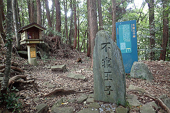 p7230536_thumb.jpg