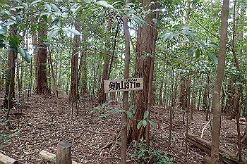 p7230538_thumb.jpg
