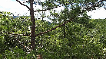 p7230543_x264.mp4_snapshot_00.00_thumb.jpg