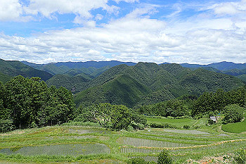 p7230551_thumb.jpg