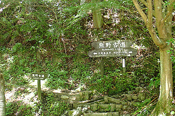 p7230554_thumb.jpg