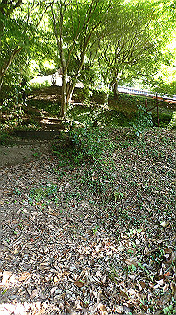 p7240335_thumb.jpg