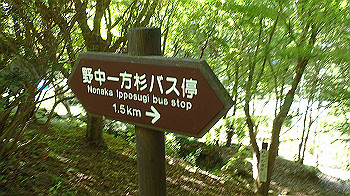 p7240337_thumb.jpg