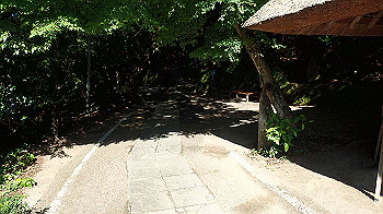 p7240340_thumb.jpg