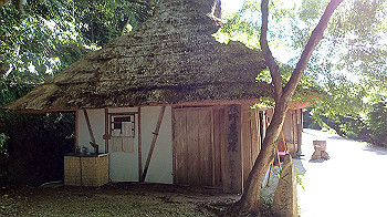 p7240341_thumb.jpg