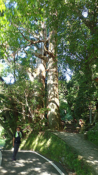 p7240342_thumb.jpg