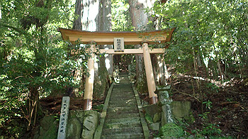 p7240344_thumb.jpg