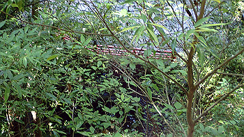 p7240345_thumb.jpg