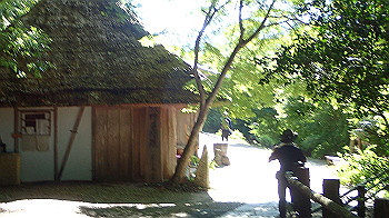 p7240346_thumb.jpg