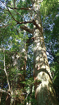 p7240347_thumb.jpg