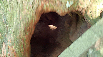 p7240348_thumb.jpg