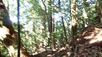 p7240350_thumb.jpg