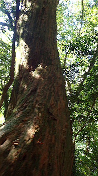 p7240351_thumb.jpg