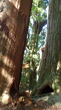 p7240352_thumb.jpg