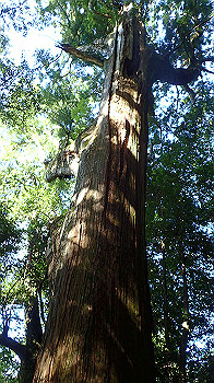 p7240353_thumb.jpg