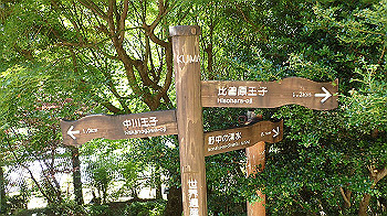 p7240354_thumb.jpg