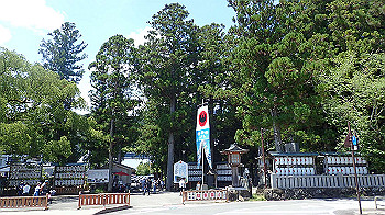 p7240360_thumb.jpg