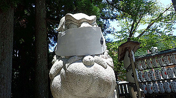 p7240374_thumb.jpg