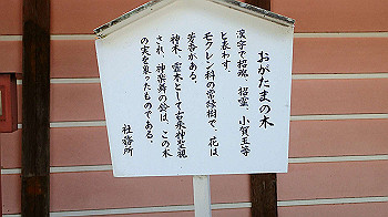 p7240388_thumb.jpg