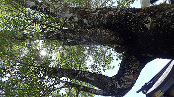 p7240389_thumb.jpg