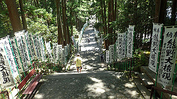 p7240395_thumb.jpg