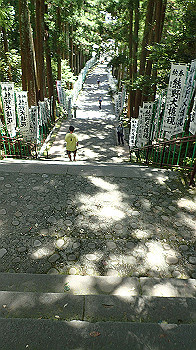 p7240396_thumb.jpg
