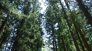 p7240397_thumb.jpg