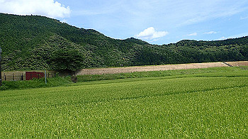 p7240402_thumb.jpg