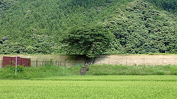 p7240404_thumb.jpg