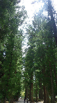 p7240416_thumb.jpg