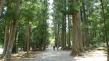 p7240417_thumb.jpg