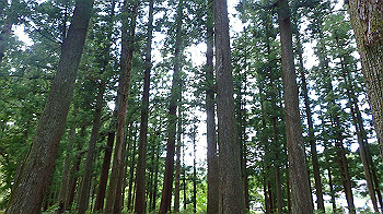 p7240419_thumb.jpg