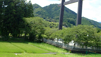 p7240435_thumb.jpg
