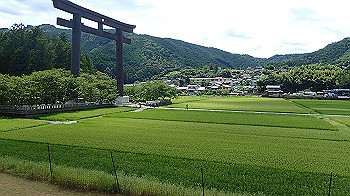 p7240437_thumb.jpg
