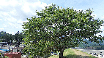 p7240441_thumb.jpg