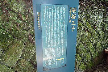 p7240562_thumb.jpg
