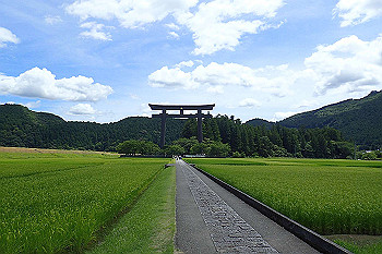 p7240576_thumb.jpg