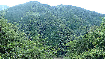 p7250499_thumb.jpg