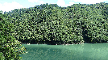 p7250501_thumb.jpg