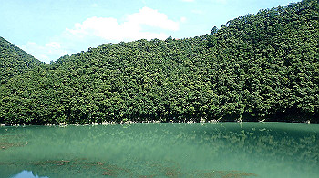 p7250502_thumb.jpg