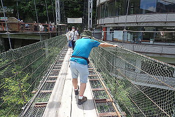 p7250601_thumb.jpg