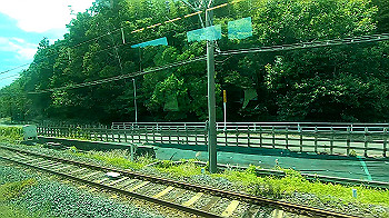 gx012313.mp4_snapshot_00.01_thumb.jpg