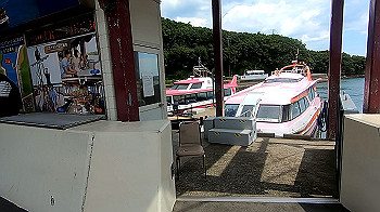 gx012323.mp4_snapshot_00.12_thumb.jpg
