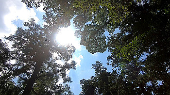 gx012340.mp4_snapshot_02.09_thumb.jpg
