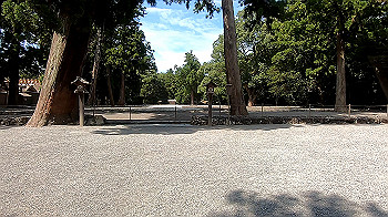 gx012341.mp4_snapshot_00.01_thumb.jpg