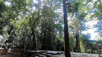 gx012343.mp4_snapshot_01.09_thumb.jpg