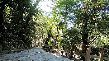 gx012344.mp4_snapshot_00.14_thumb.jpg