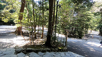 gx012345.mp4_snapshot_00.00_thumb.jpg