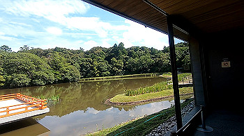 gx012346.mp4_snapshot_00.56_thumb.jpg